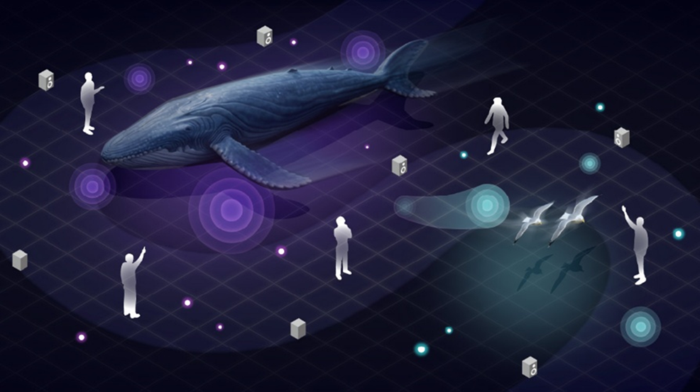 鯨と人々の立体音響体験