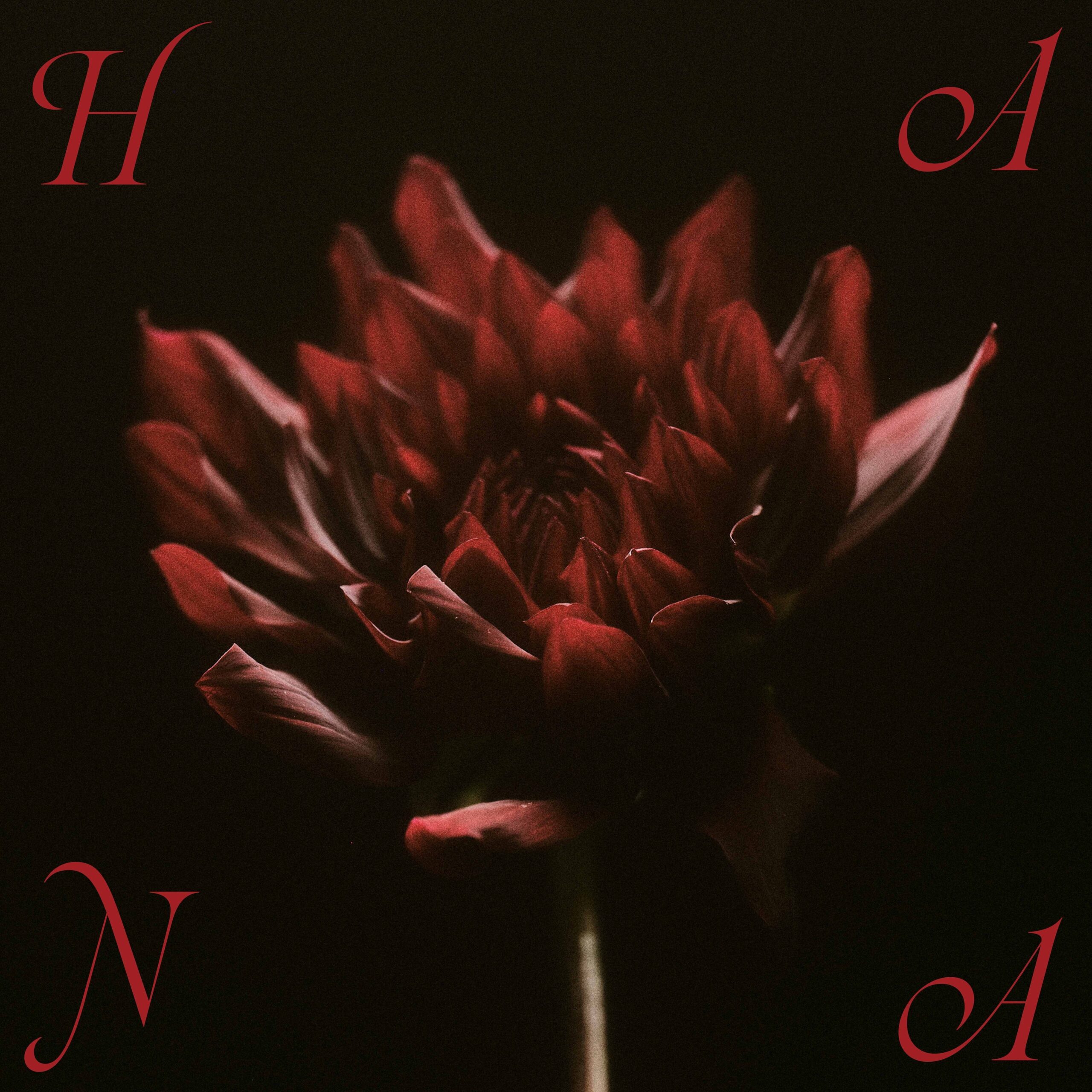 暗い背景に赤い花が咲くデザイン