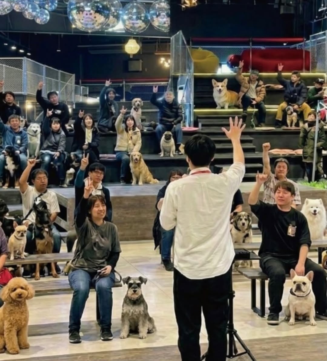 オフ会で指示を受ける犬たちと参加者