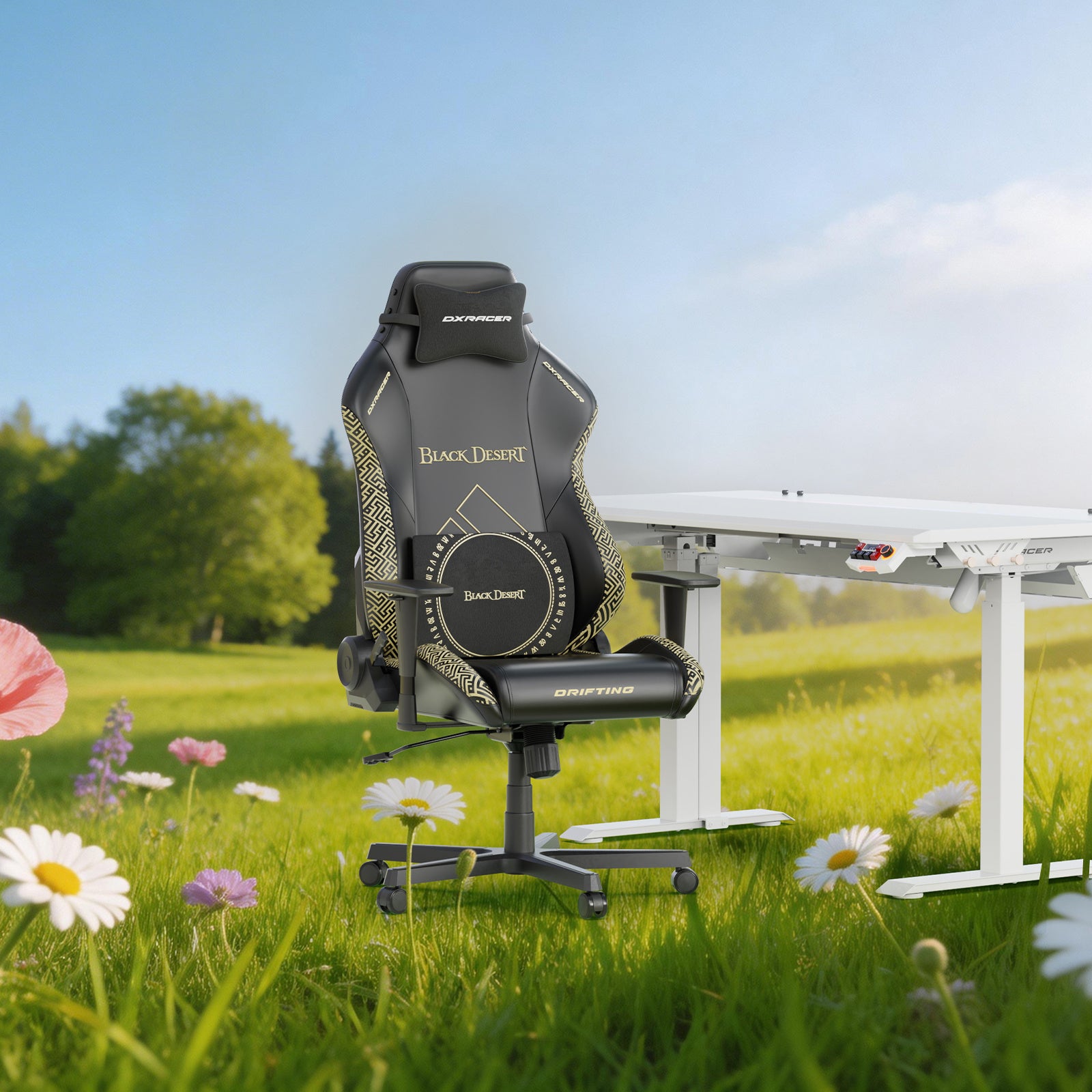 フィールドに置かれたブラックデザート仕様のチェア