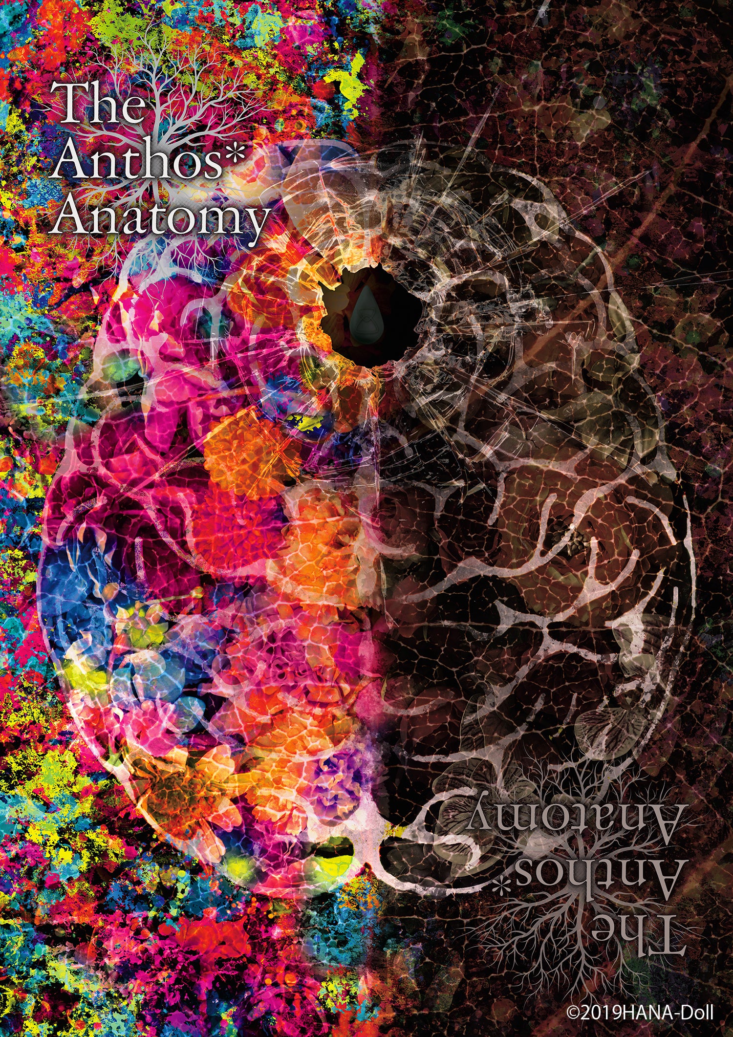 The Anthos* Anatomyのアートワーク