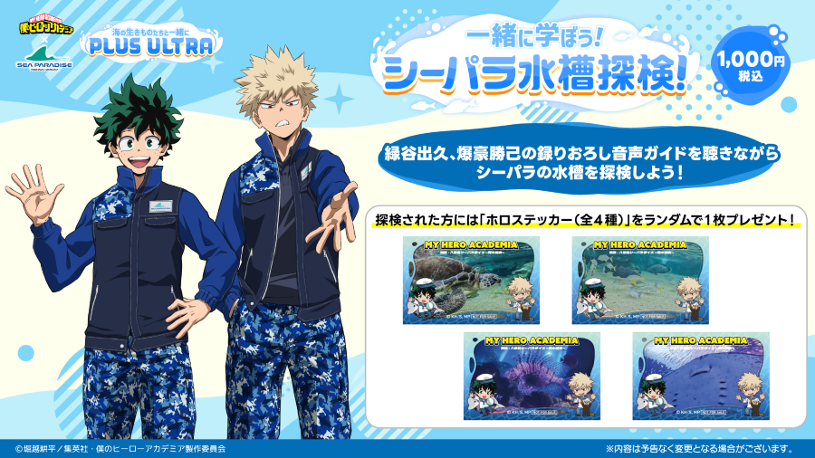 シーパラ水槽探検の案内