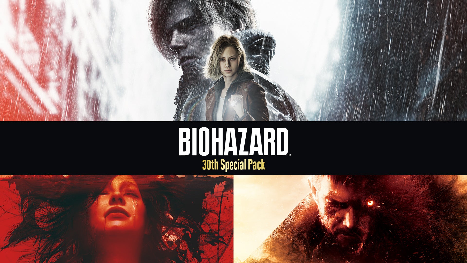 30周年特別パック詳細