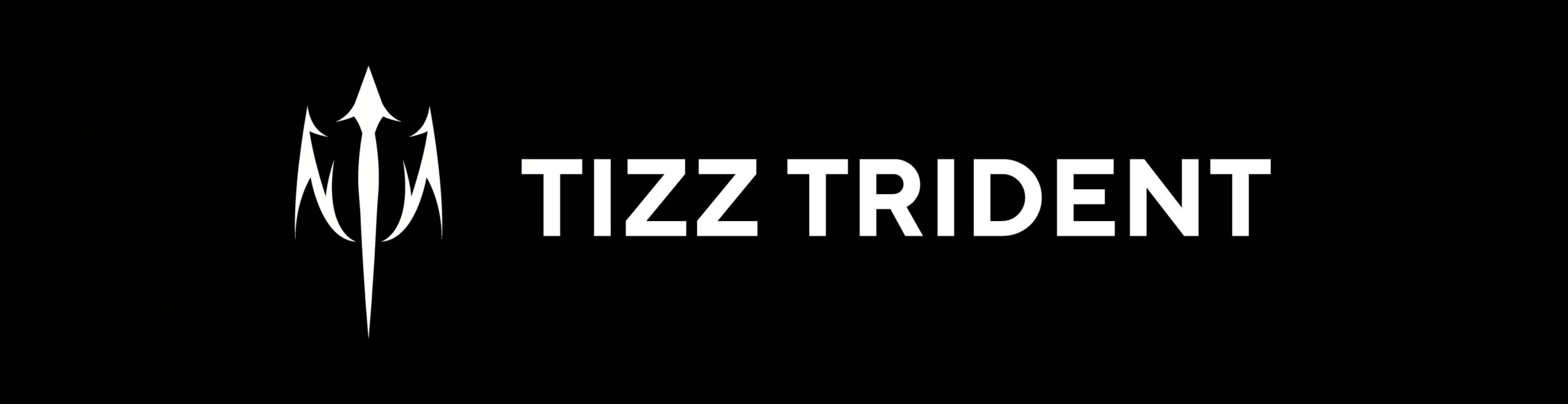 TIZZ TRIDENTのロゴと名称