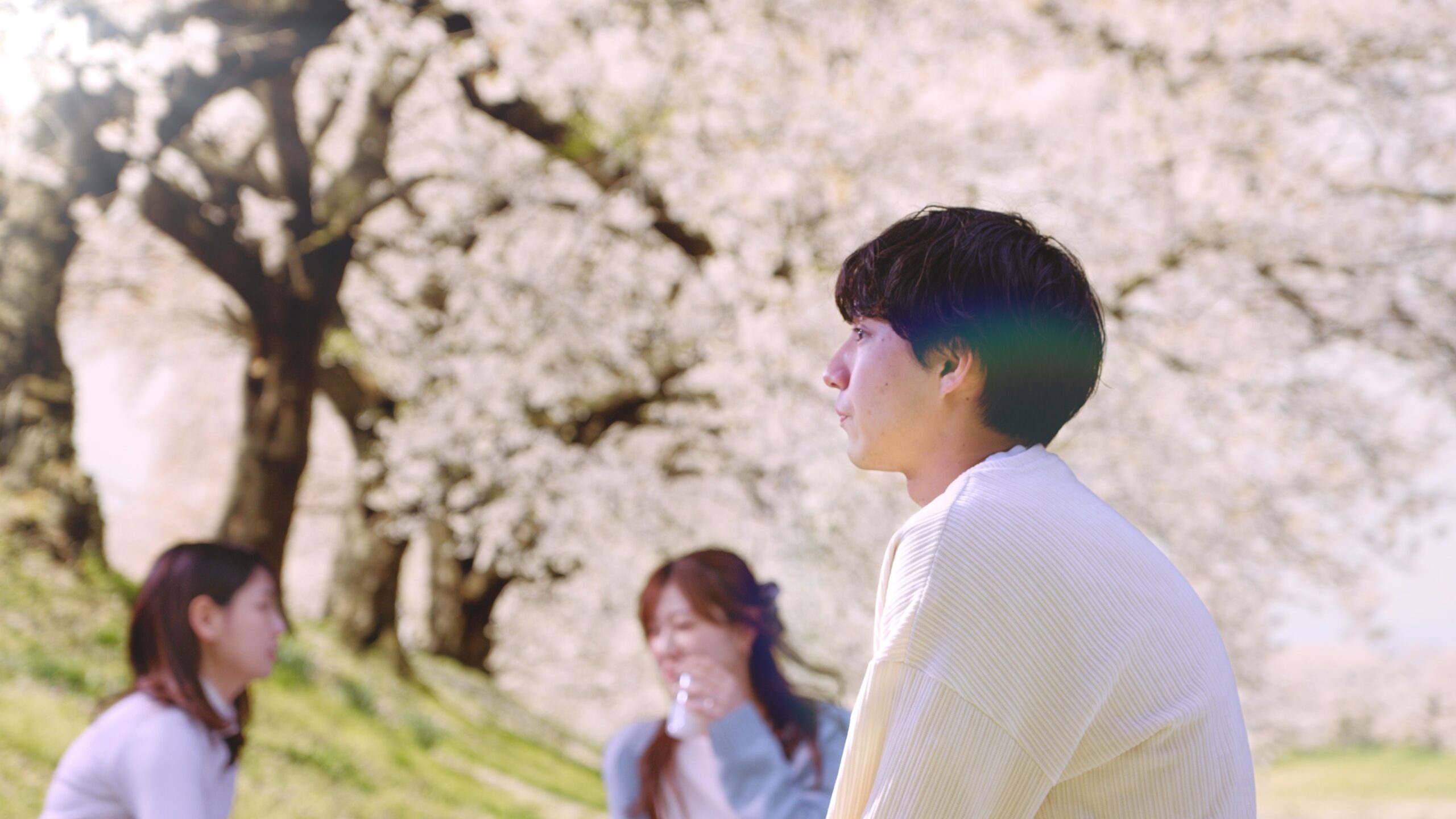 桜の満開の下での和やかなひととき