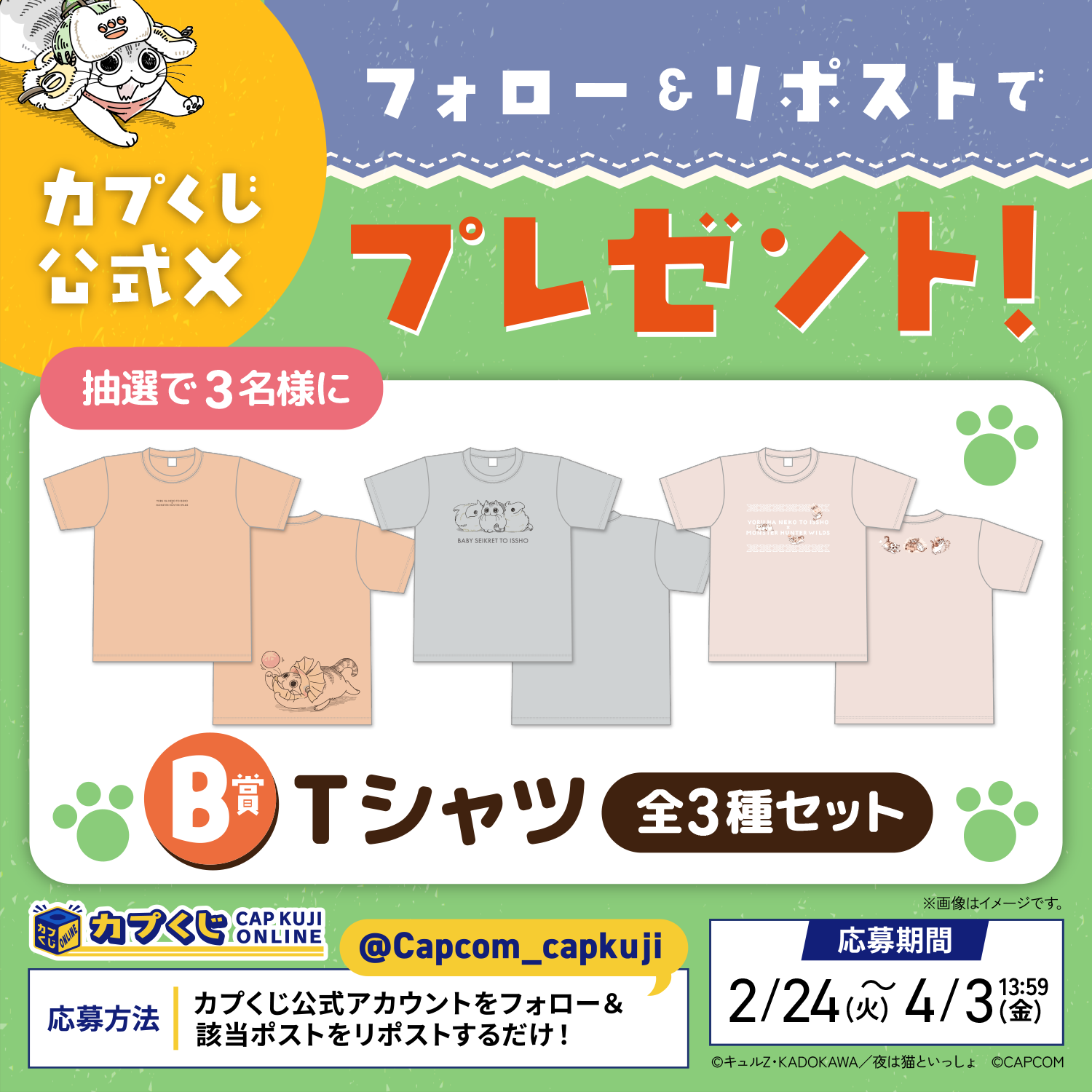 Tシャツプレゼントキャンペーン