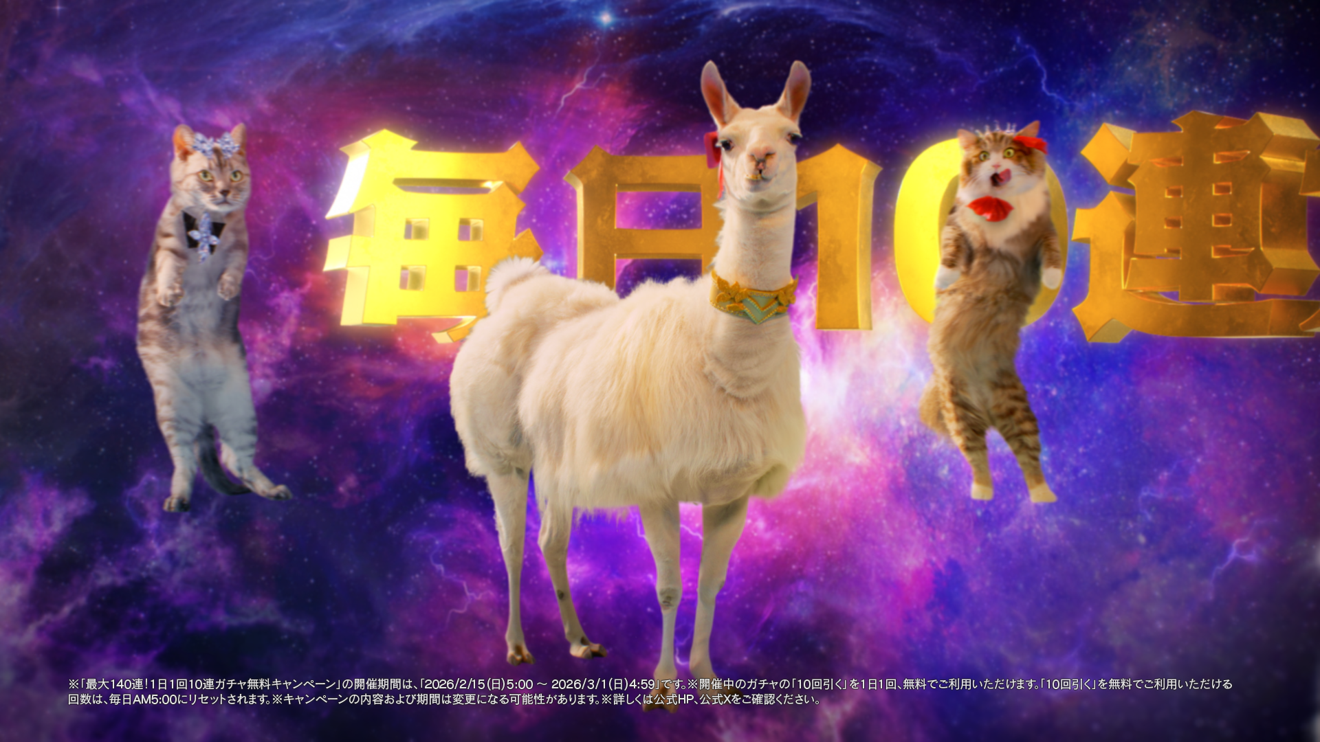 猫とリマの宇宙での舞踏