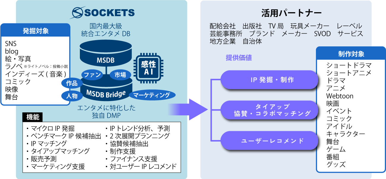 MSDB構造とソケッツのDMP概要