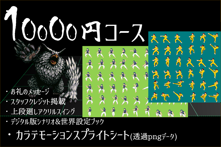 10000円コースのカラテモーションシート