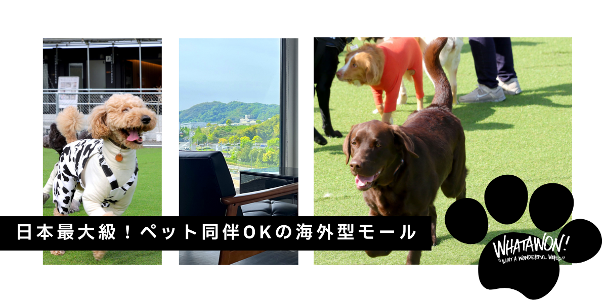 ペット同伴OKのモールと犬たち