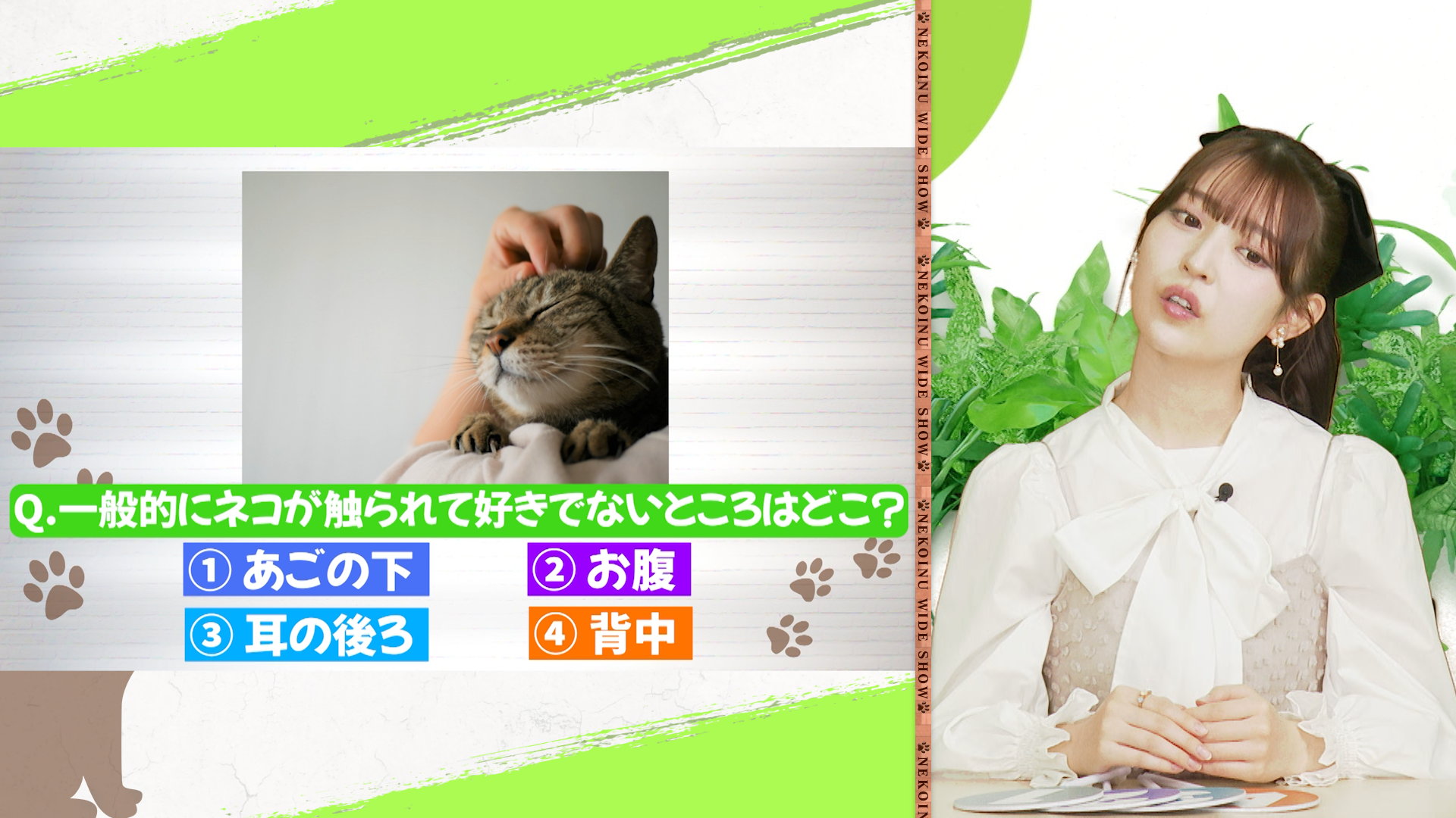 ネコが好きでない触られる場所のクイズ