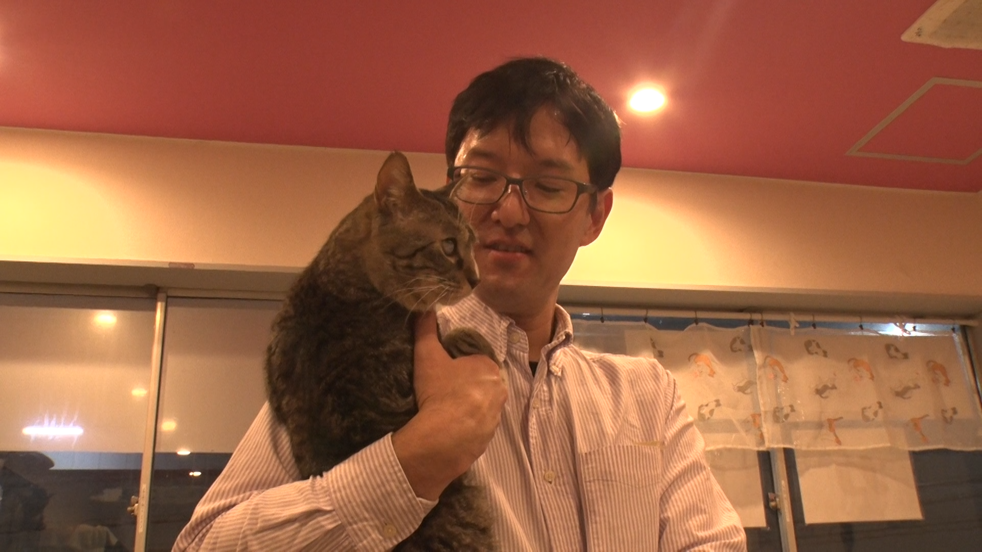 ネコを抱く男性とネコのふれあい