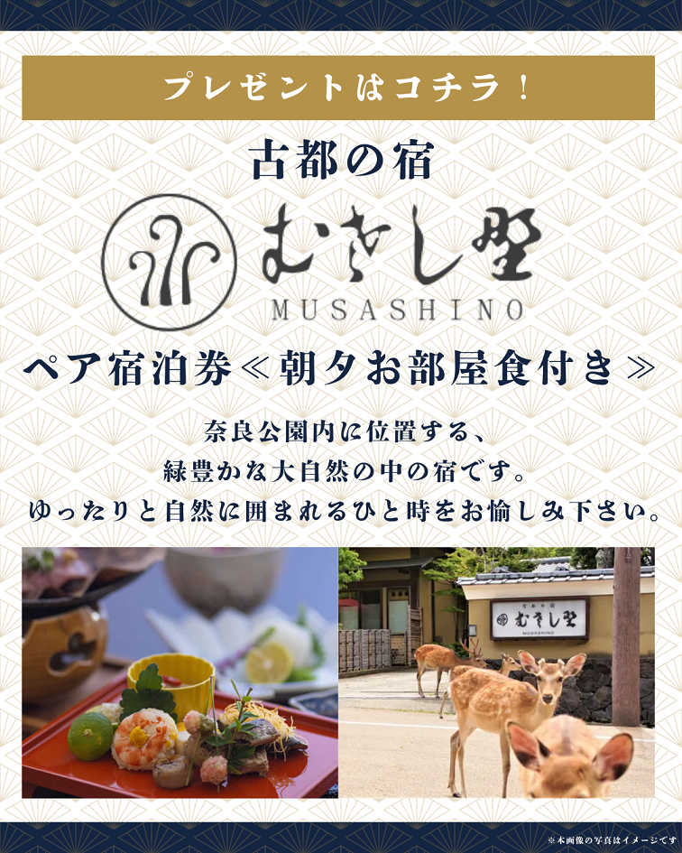 古都の宿むさし野の宿泊券案内ページ